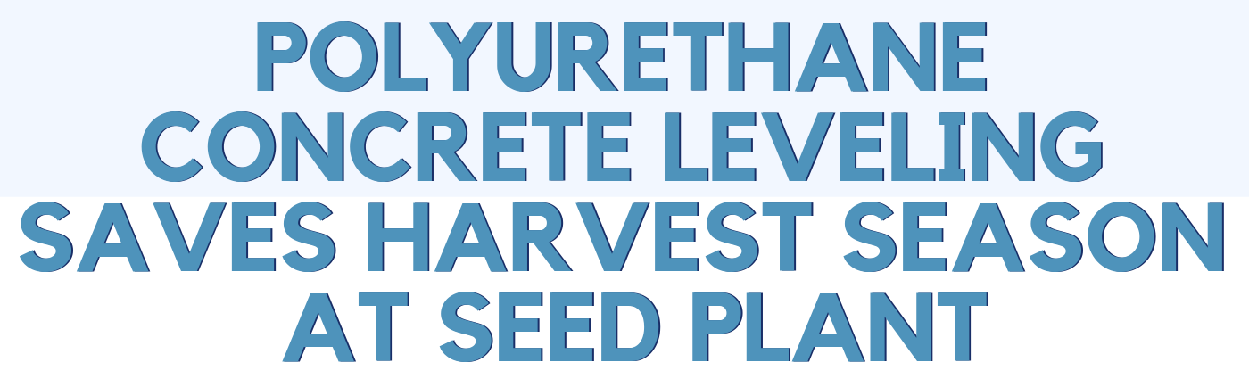 Polyurethane Concrete Leveling Saves Harvest Season at Seed Plant